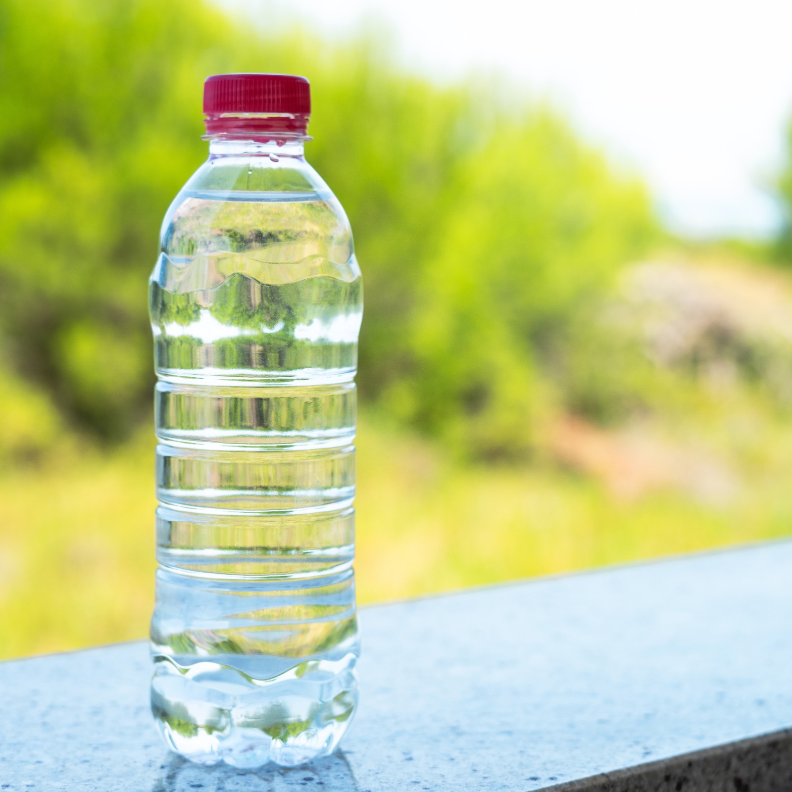 PET Bottle 2